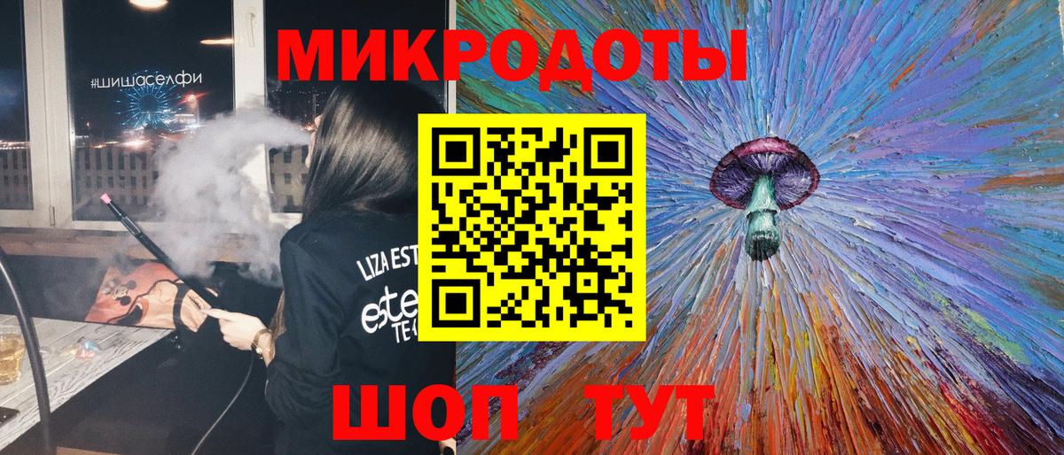 Псилоцибиновые грибы Psilocybe Озёрск
