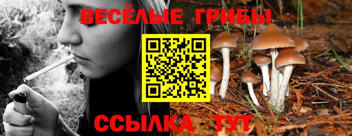 Озёрск  Галлюциногенные грибы MAGIC MUSHROOMS  Вход с VPN 